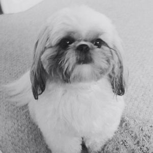 Meet your Posher, Celso