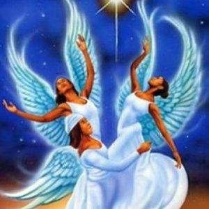 Meet your Posher, Chandra