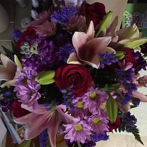 Meet your Posher, Andrea