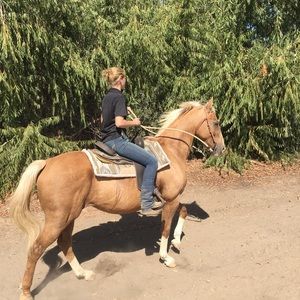 Meet your Posher, Savanna