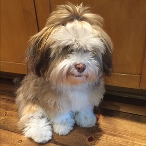 Meet your Posher, Leydi