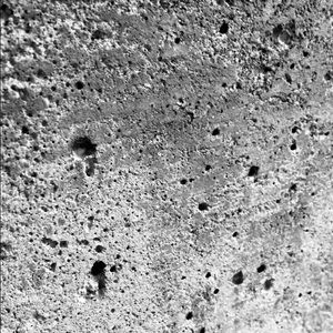 Meet your Posher, Alejandro