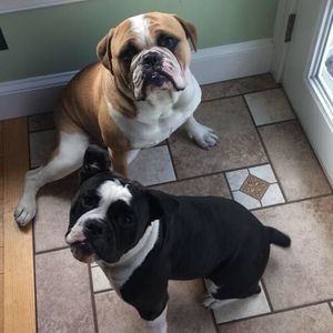 Meet your Posher, Nick