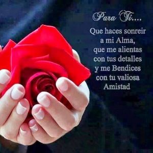 Meet your Posher, Sandra