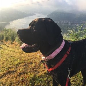 Meet your Posher, Carokyn