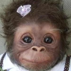 Meet your Posher, Terri