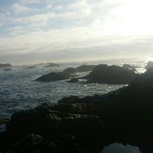 Meet your Posher, Keely