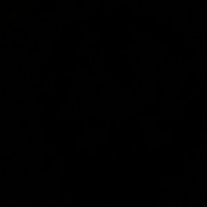 Meet your Posher, Meg