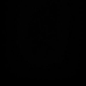 Meet your Posher, Janeth