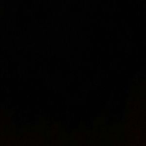 Meet your Posher, Reggie