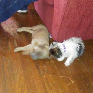 Meet your Posher, Gerald