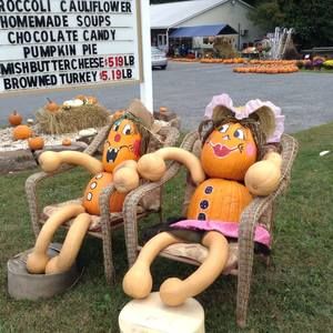 Meet your Posher, Carole