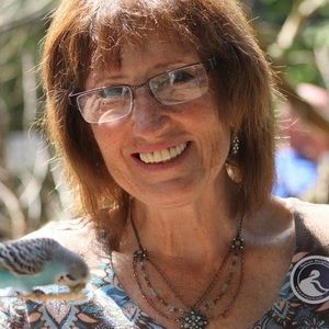 Meet your Posher, Gaye