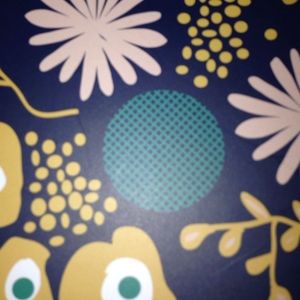 Meet your Posher, Abayomi