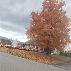 Meet your Posher, Sierra