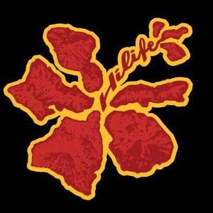 Meet your Posher, Terri-lynn