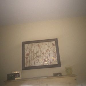 Meet your Posher, Katarina