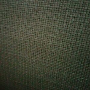 Meet your Posher, Rosye