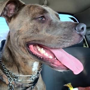 Meet your Posher, Jenn