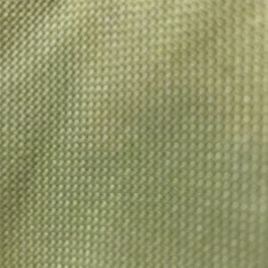 Meet your Posher, Dane