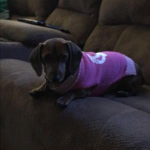 Meet your Posher, Gene