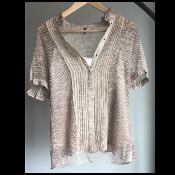 Tahari sheer and sexy top