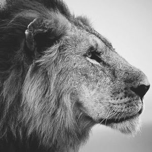 Meet your Posher, Omar