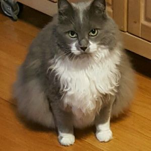 Meet your Posher, Tanya