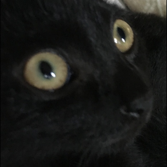 Meet your Posher, Melissa - Picture 2 of 2