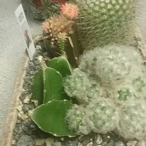 Meet your Posher, Lena