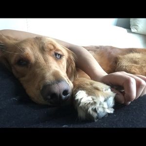 Meet your Posher, Phl