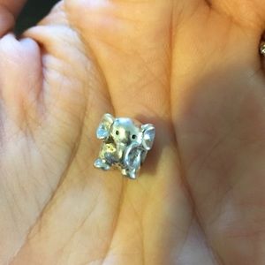 Pandora charm