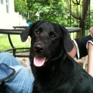 Meet your Posher, Marissa