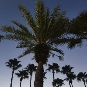 Meet your Posher, Corey