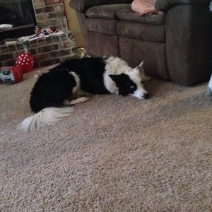 Meet your Posher, Monica