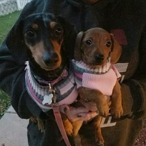 Meet your Posher, Brad