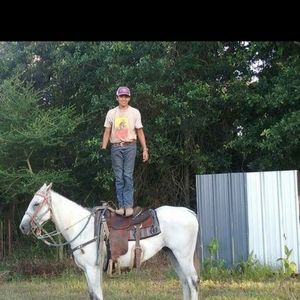 Meet your Posher, Andy