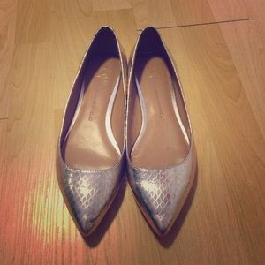 Banana Republic Gold Angela Flats