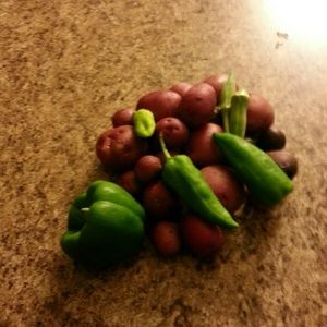 Meet your Posher, Carolyn