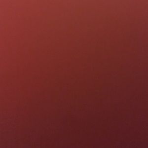 Meet your Posher, Janeth