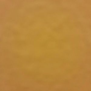 Meet your Posher, Dorothy