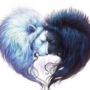 Meet your Posher, Lee