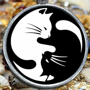 Meet your Posher, Mindy