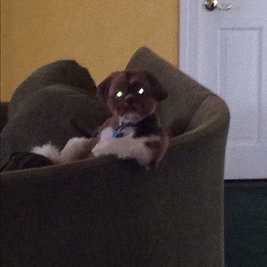 Meet your Posher, Regina