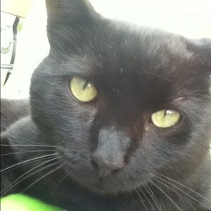 Meet your Posher, Olivia