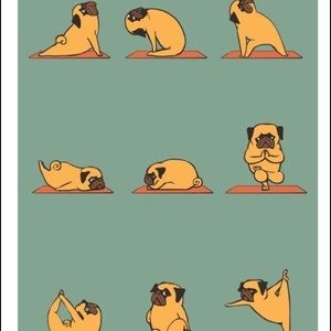 Meet your Posher, Ella