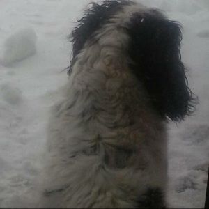 Meet your Posher, Sherry