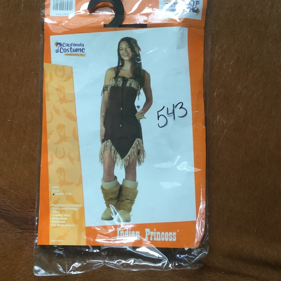 California Costume Indian Princess Costume - Picture 2 of 4