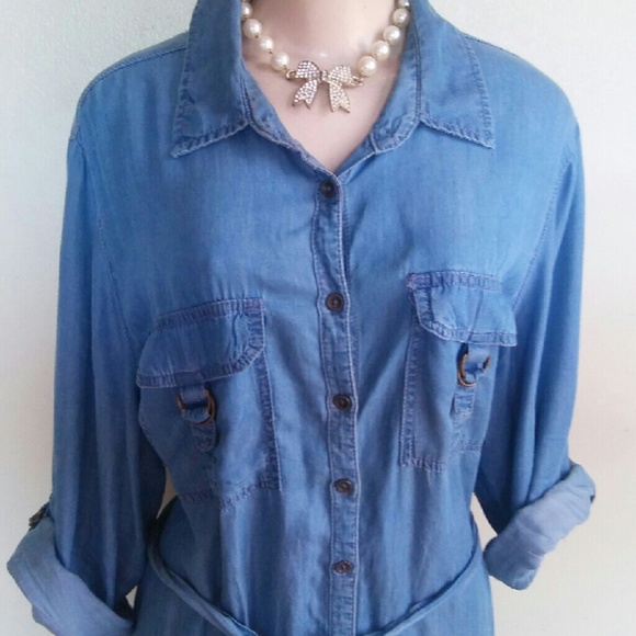 Plus Size Denim Dress - Picture 4 of 4