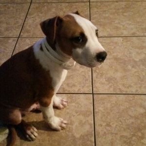 Meet your Posher, Lidia